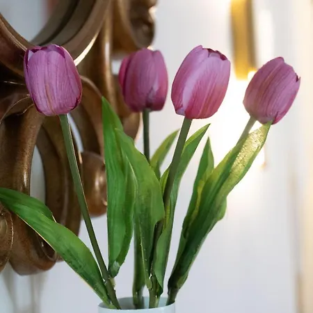 The Whole Packet C4 Center With Parking * Larissa